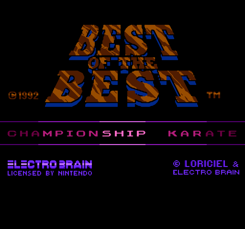 Bestofthe best championship karate 11